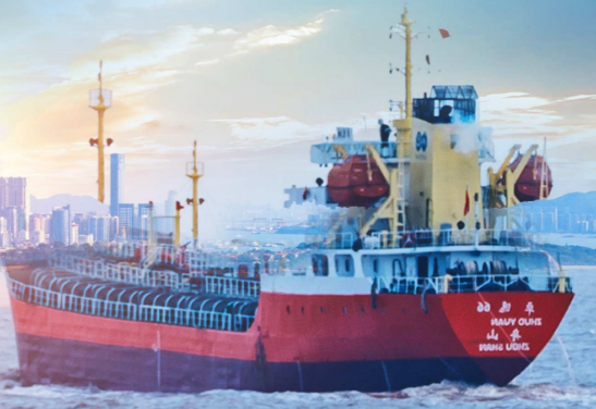 深圳国际海运机构哪些方面可靠